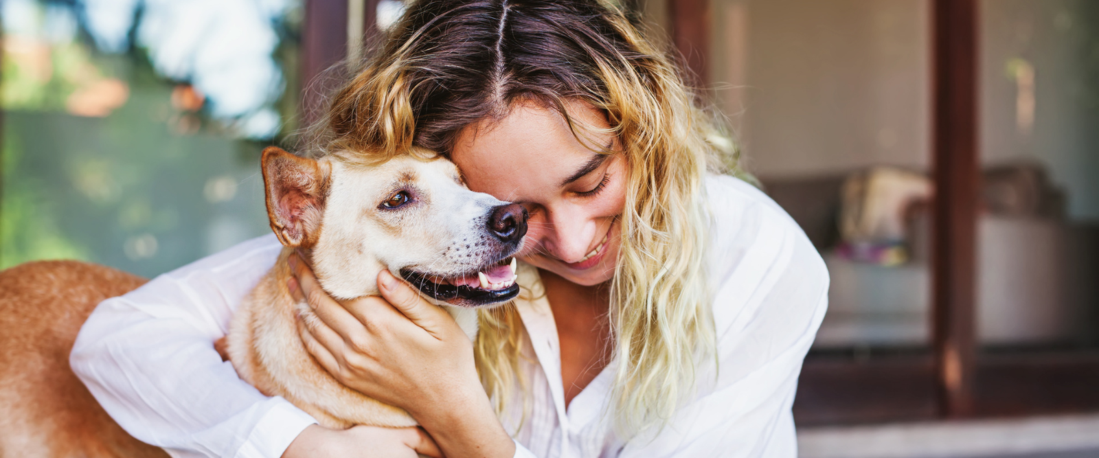 Dueño revisando la ficha médica digital de su perro en la app Pawer desde su smartphone, con el animal sentado a su lado