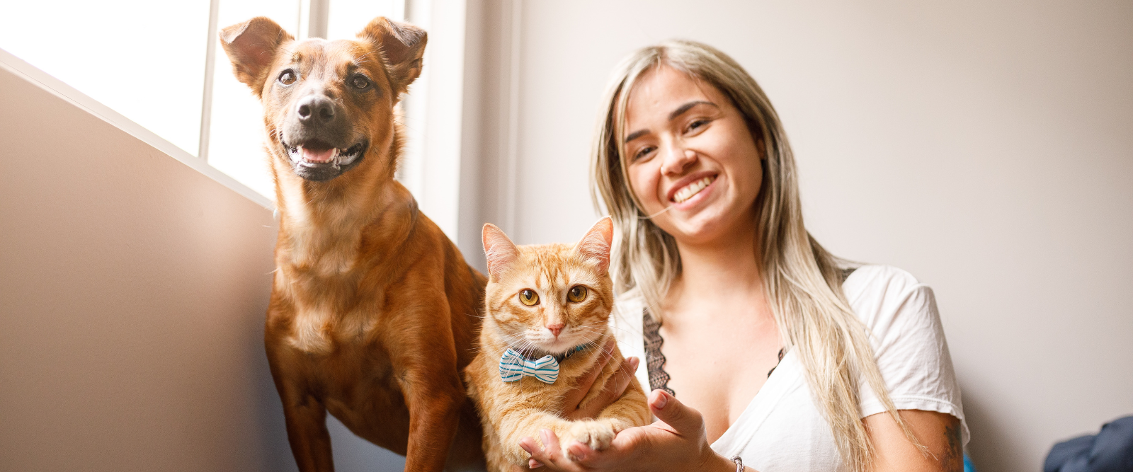 Veterinario revisando a un gato adulto sobre la camilla de consulta mientras su dueña observa atenta