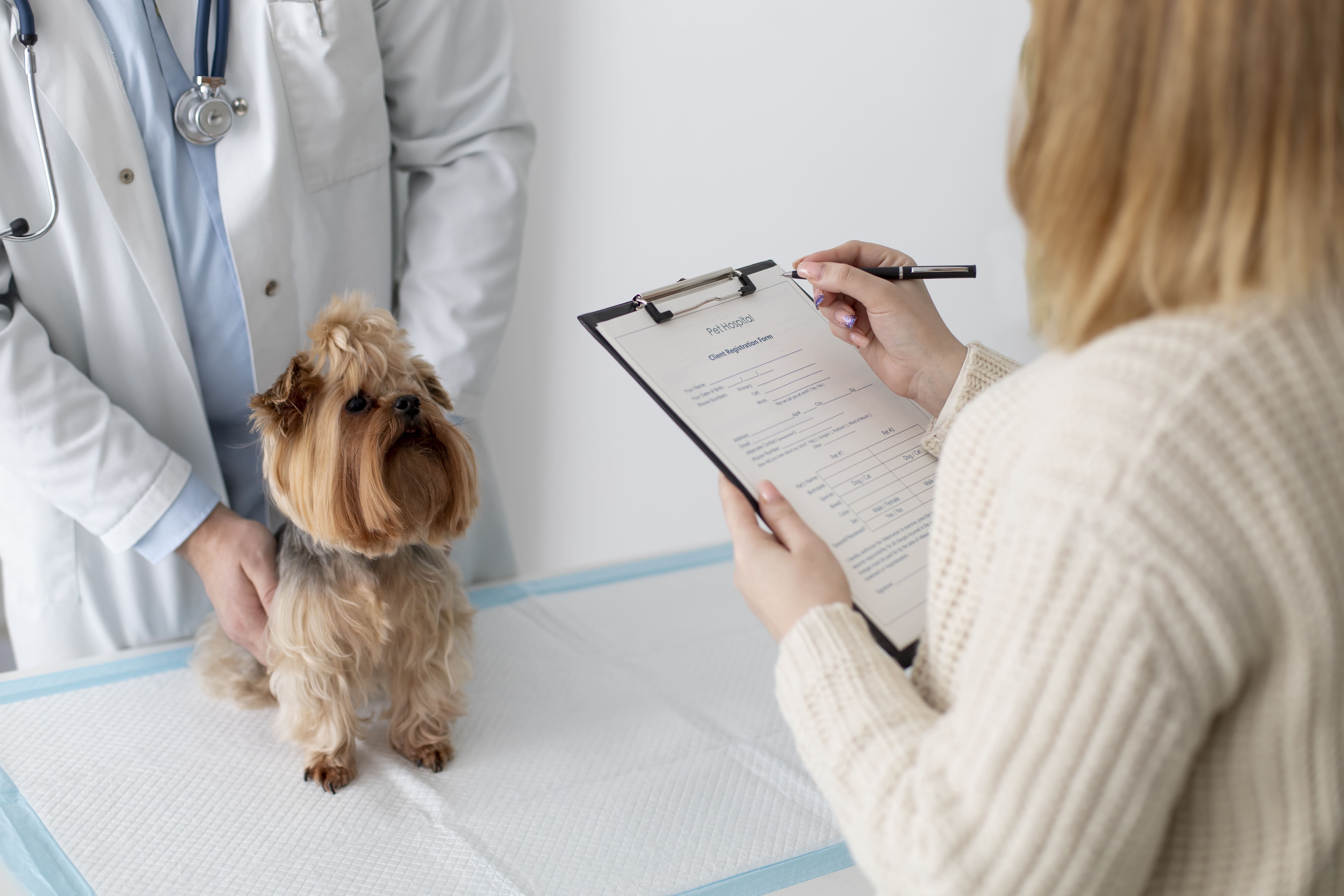 Veterinario revisando a un perro sobre la camilla de una clínica veterinaria mientras su dueño observa con atención